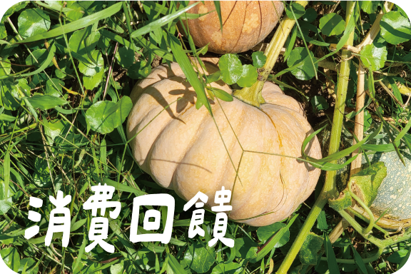 消費回饋