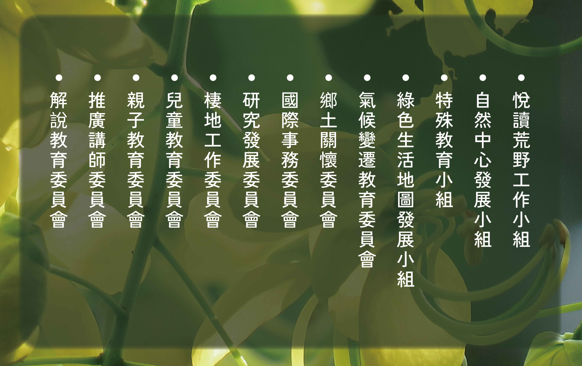 荒野保護協會志工組織圖