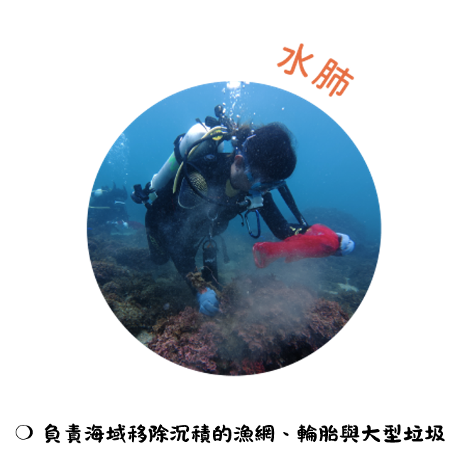 水肺潛水淨海