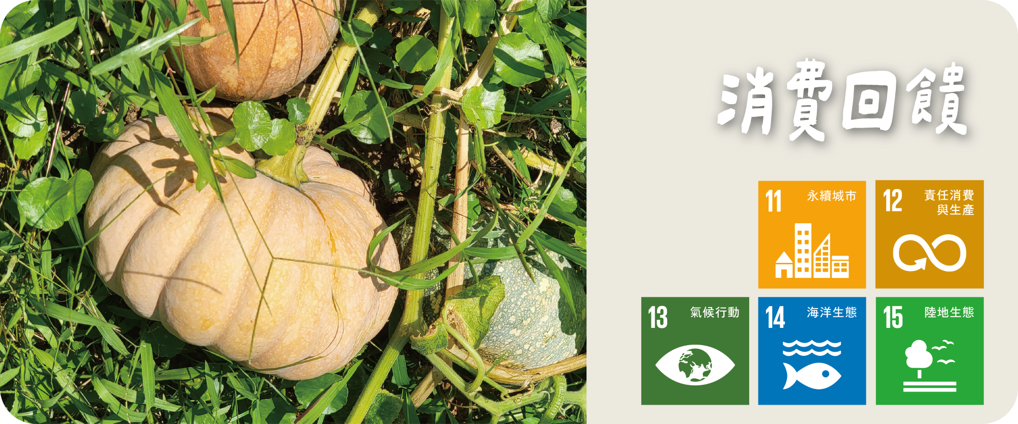 消費回饋 Banner