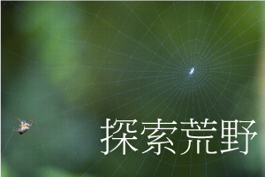 荒野達人