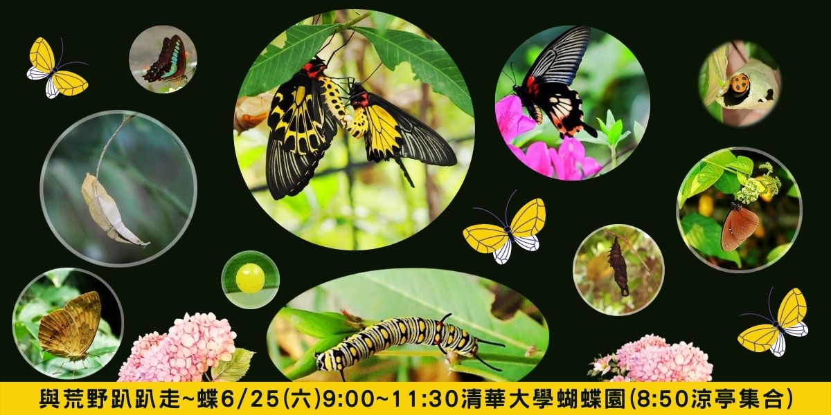 0625 六 與荒野趴趴走 蝶 荒野保護協會