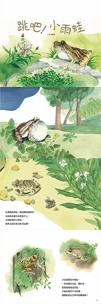 繪本《跳吧！小雨蛙》✦ 限量50本