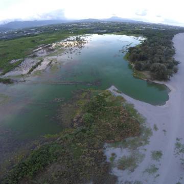 濕地與海岸保育