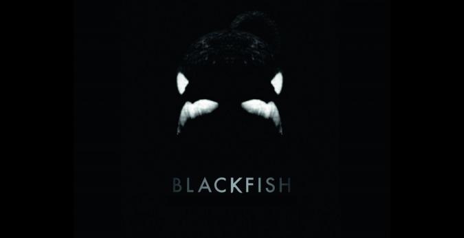 blackfish_quad_20cm-cmyk.jpg