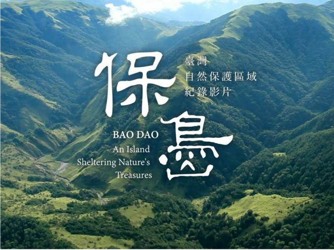 bao_dao_.jpg