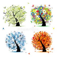 treeeeeee.jpg